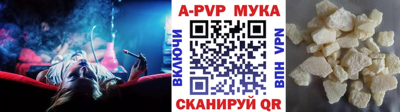 блэк спрут онион  как найти закладки  даркнет как зайти  A PVP СК  Оса 