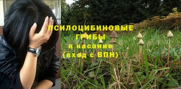 гидра Верхнеуральск
