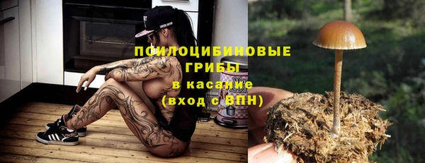 ешки Верхний Тагил